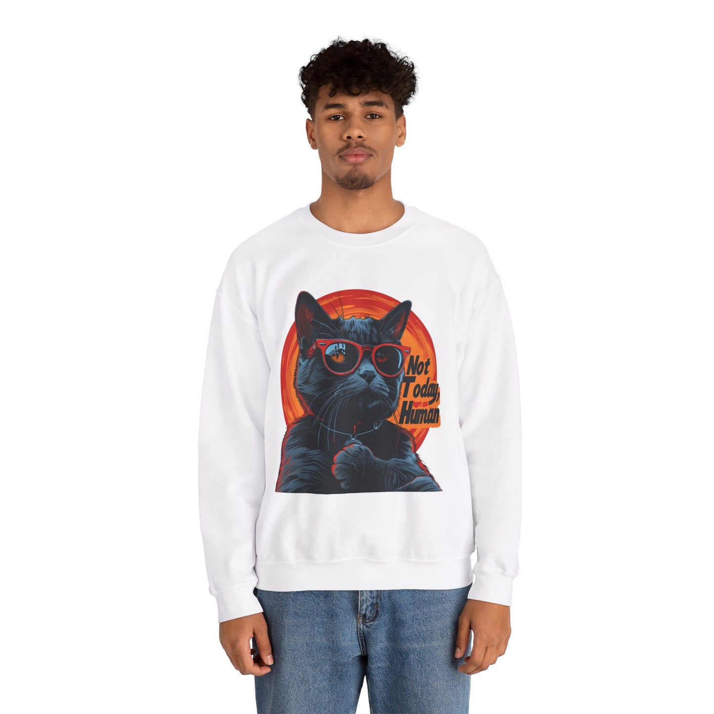 Funny Cat Sweatshirt - 'Not Today Human' Unisex Crewneck - Modern District