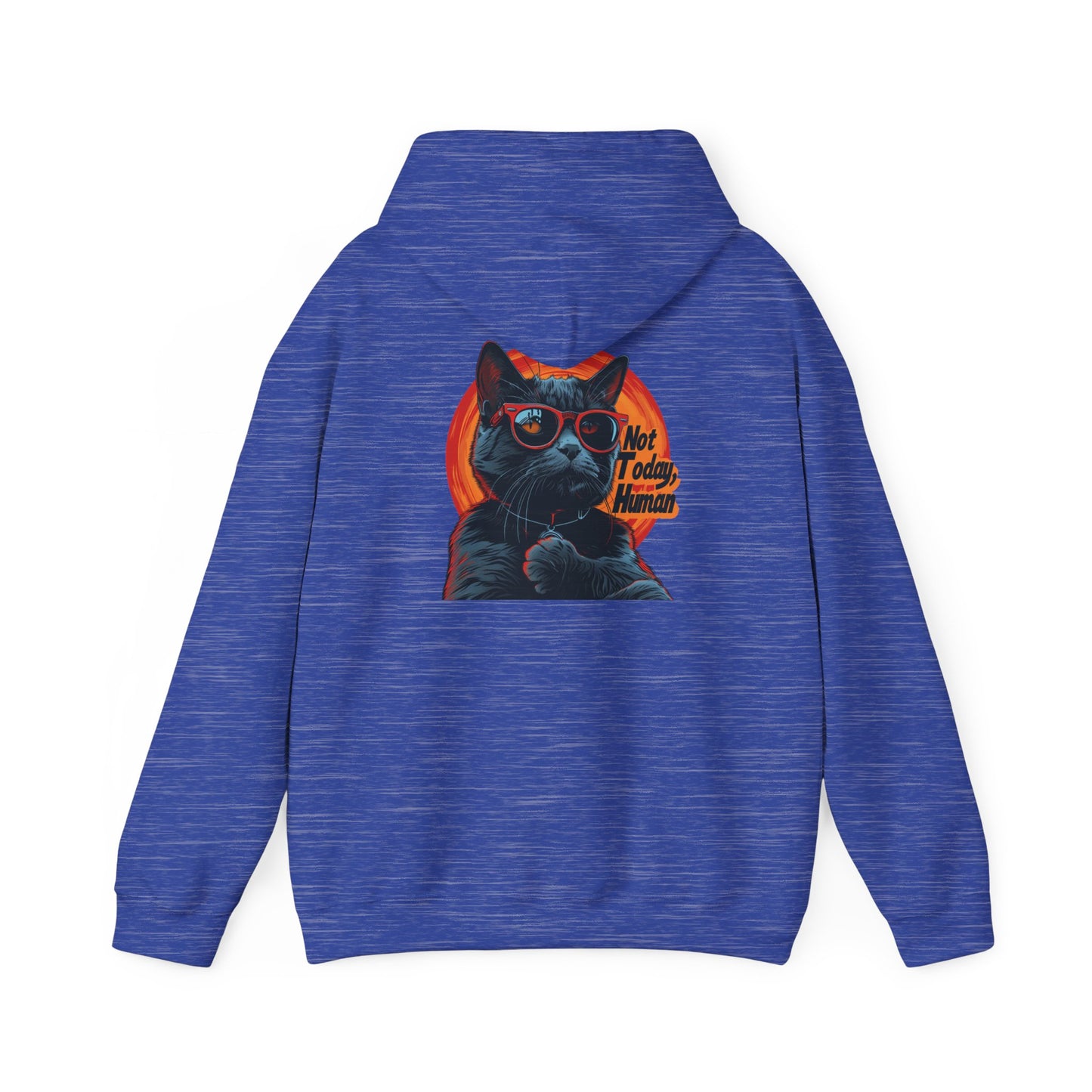 Not Today Human Unisex Hoodie - Funny Cat Design for Chill Days - Modern District