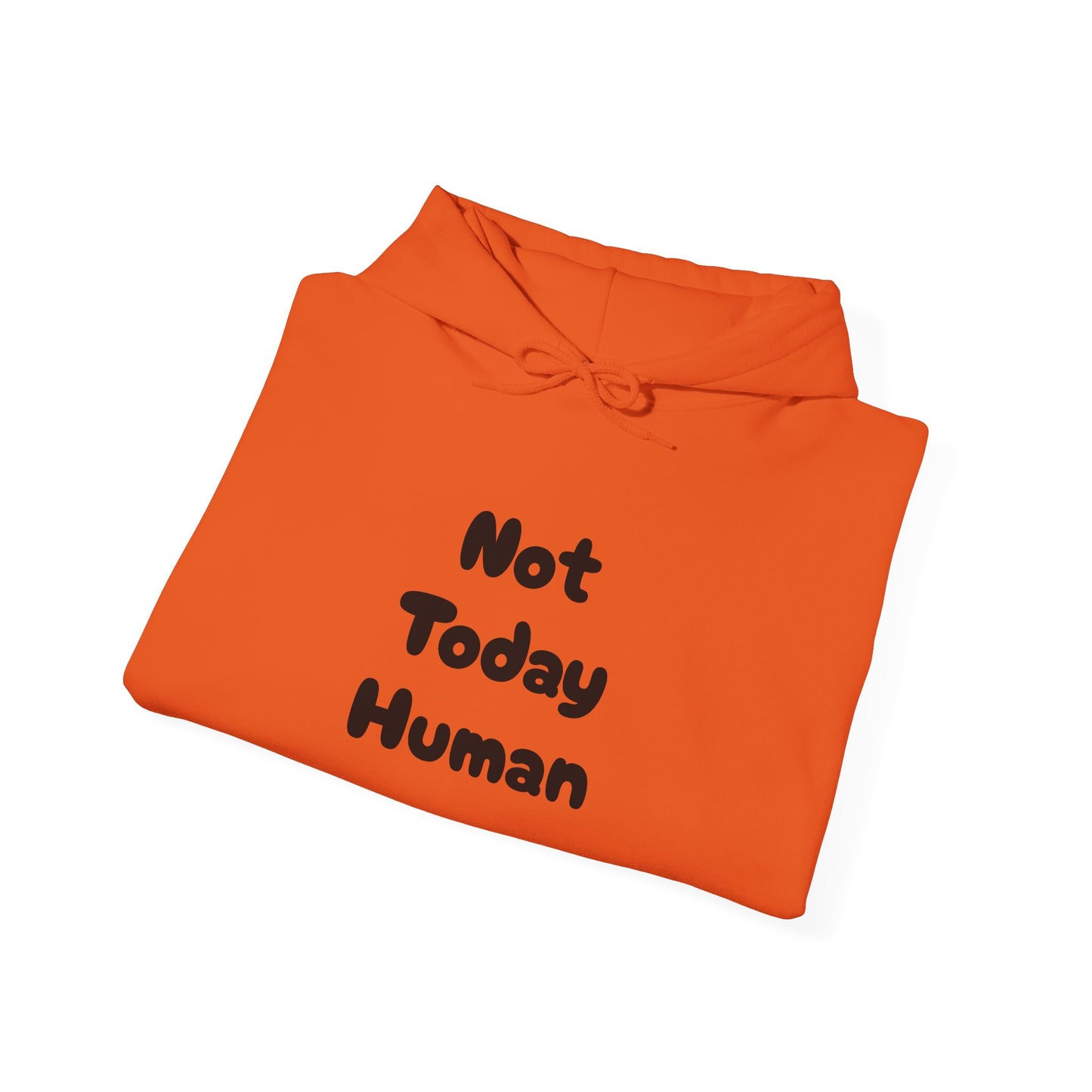 Not Today Human Unisex Hoodie - Funny Cat Design for Chill Days - Modern District