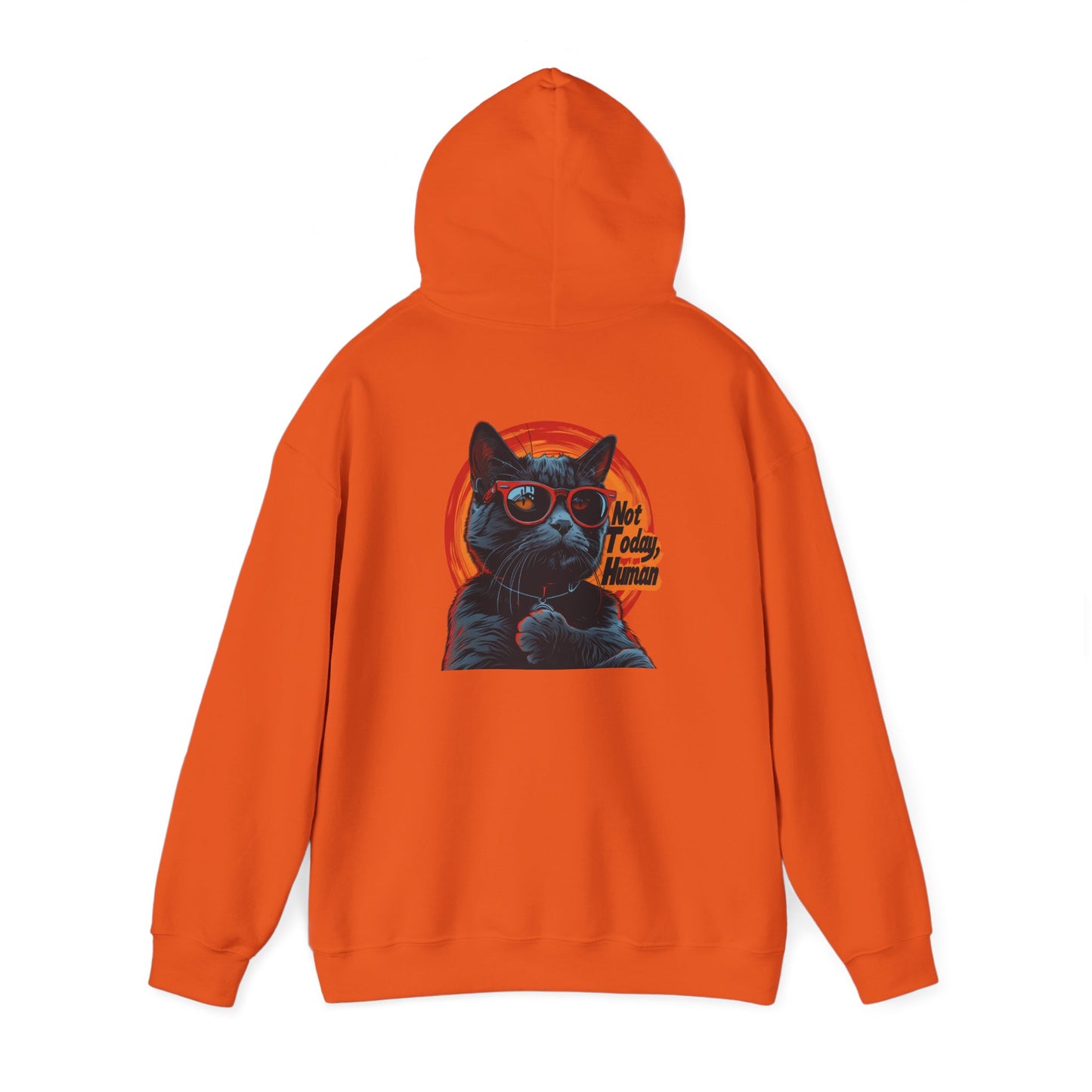 Not Today Human Unisex Hoodie - Funny Cat Design for Chill Days - Modern District