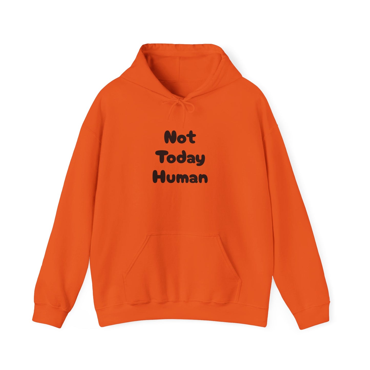 Not Today Human Unisex Hoodie - Funny Cat Design for Chill Days - Modern District