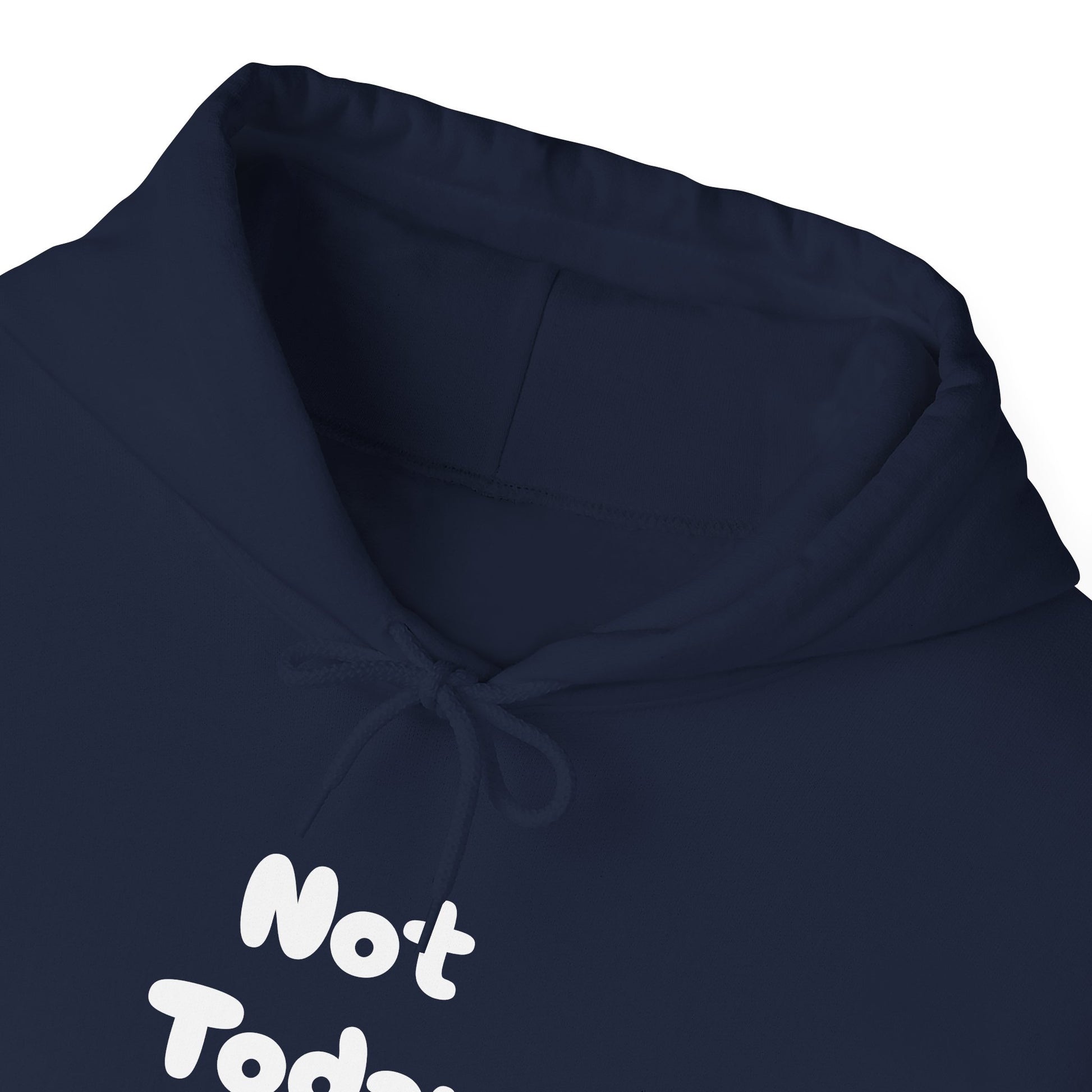 Not Today Human Unisex Hoodie - Funny Cat Design for Chill Days - Modern District