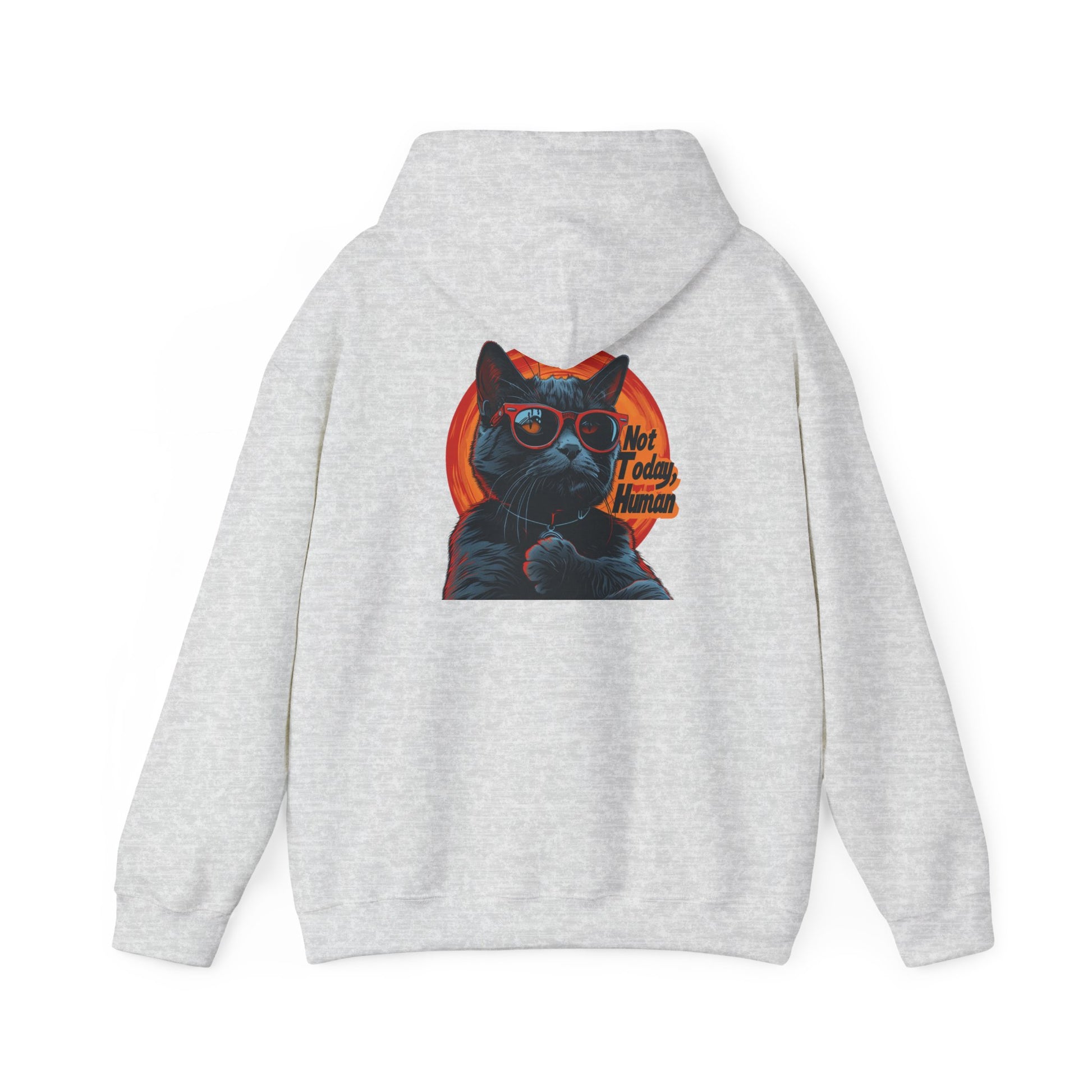 Not Today Human Unisex Hoodie - Funny Cat Design for Chill Days - Modern District