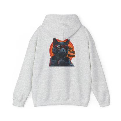 Not Today Human Unisex Hoodie - Funny Cat Design for Chill Days - Modern District