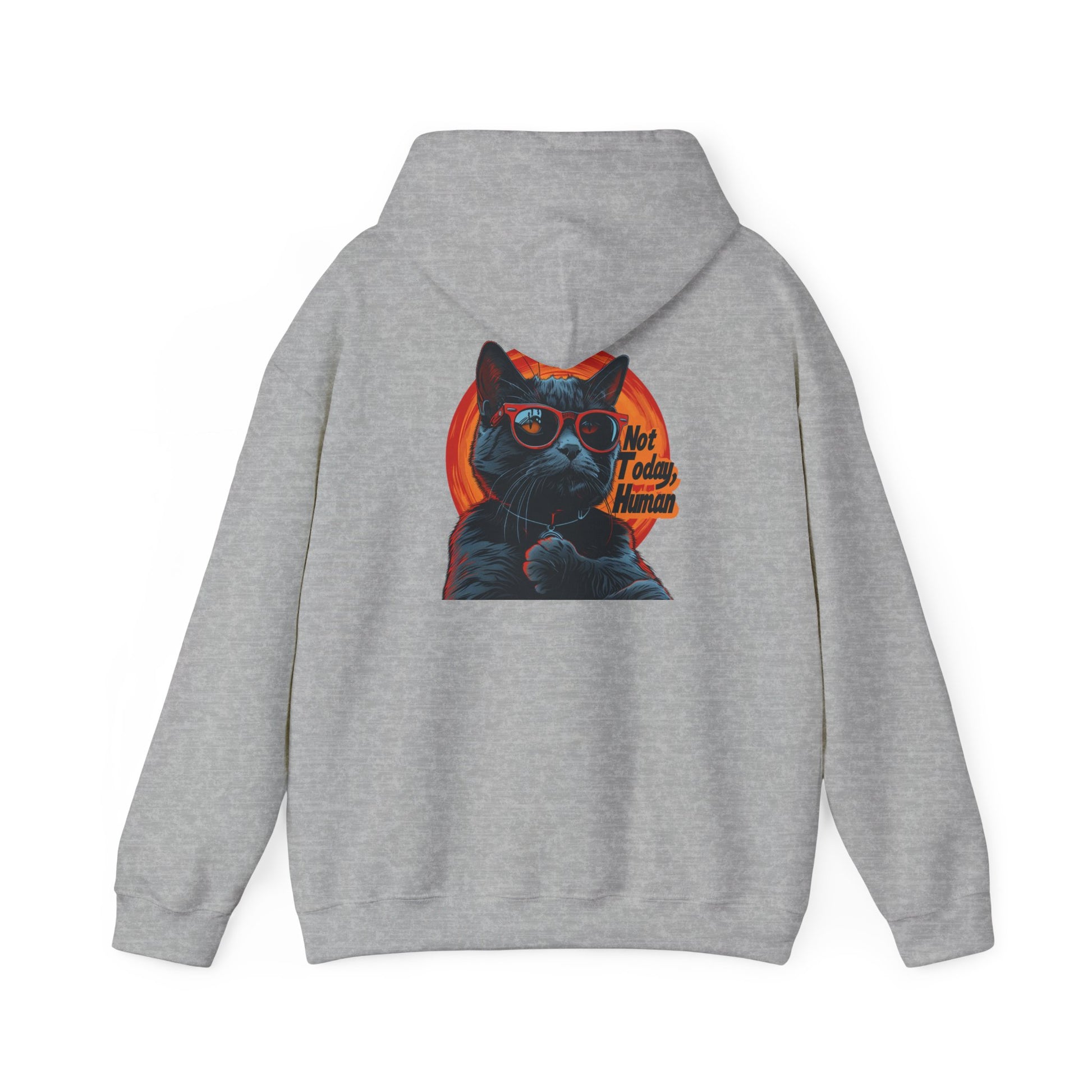 Not Today Human Unisex Hoodie - Funny Cat Design for Chill Days - Modern District