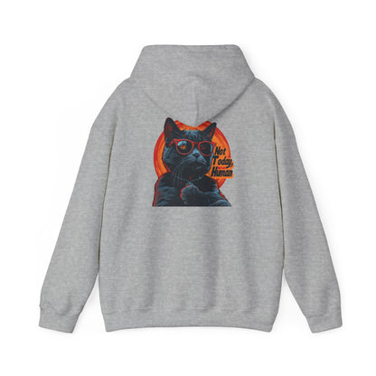 Not Today Human Unisex Hoodie - Funny Cat Design for Chill Days - Modern District