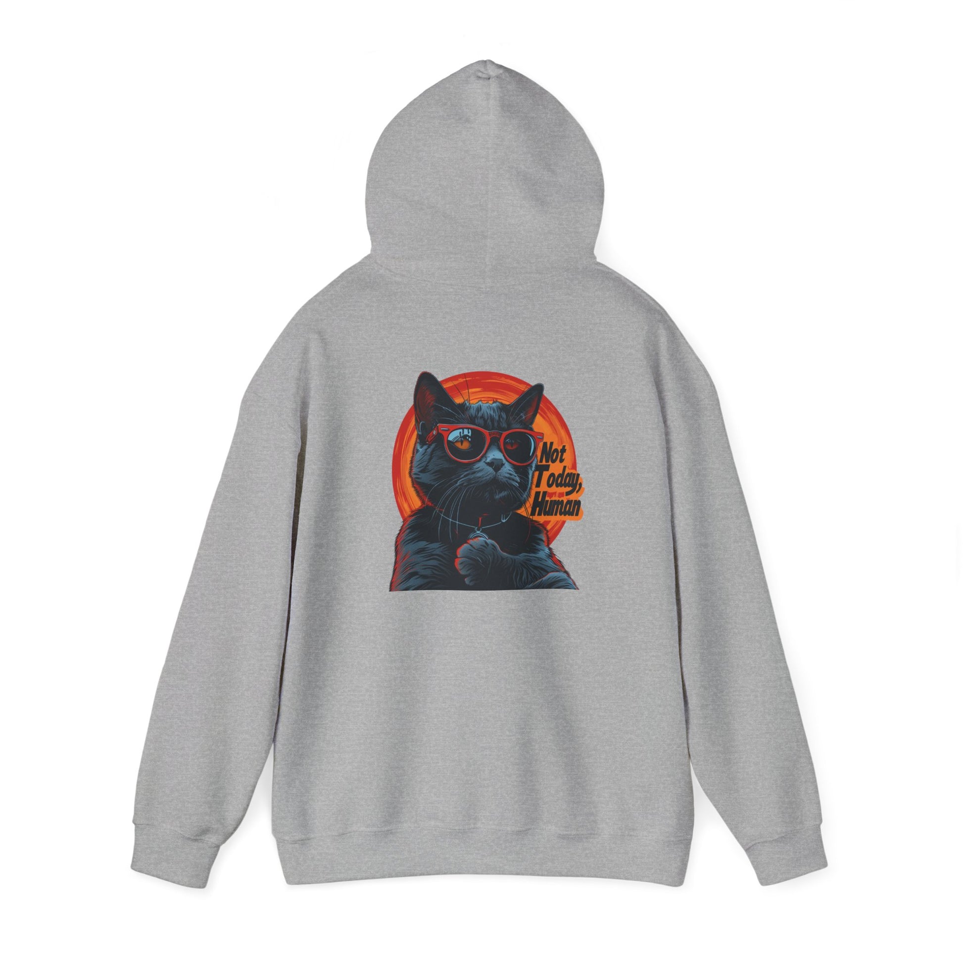 Not Today Human Unisex Hoodie - Funny Cat Design for Chill Days - Modern District