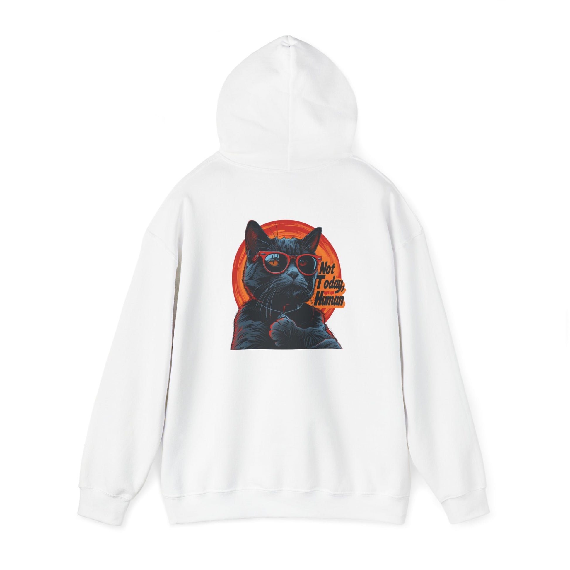 Not Today Human Unisex Hoodie - Funny Cat Design for Chill Days - Modern District
