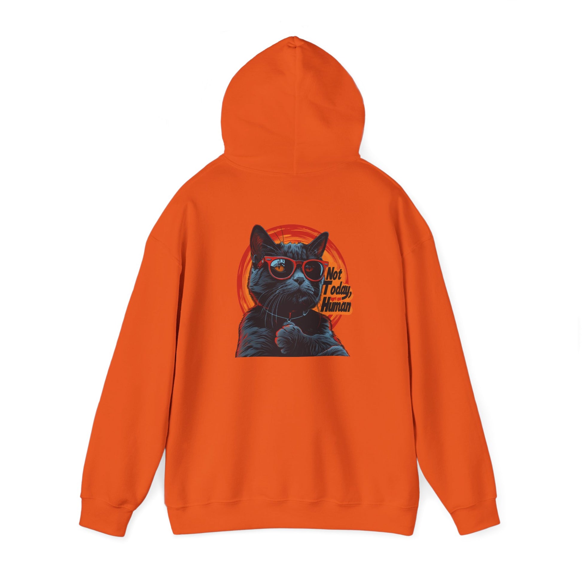Not Today Human Unisex Hoodie - Funny Cat Design for Chill Days - Modern District