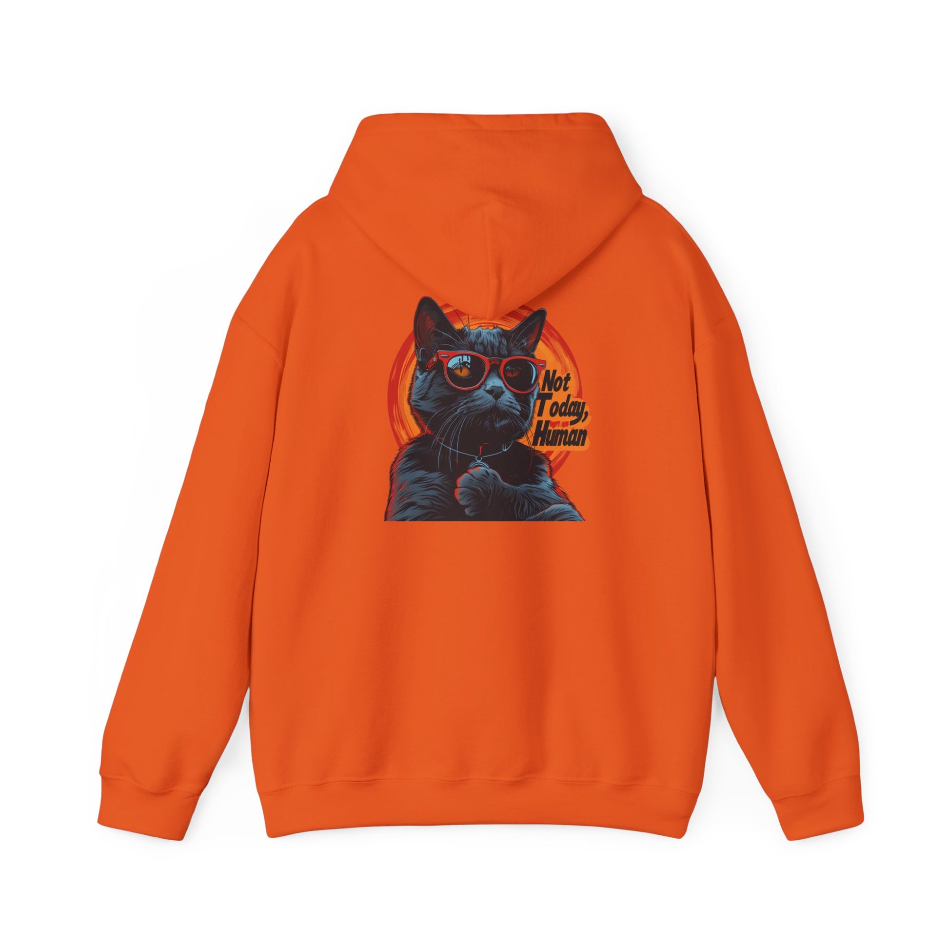Not Today Human Unisex Hoodie - Funny Cat Design for Chill Days - Modern District