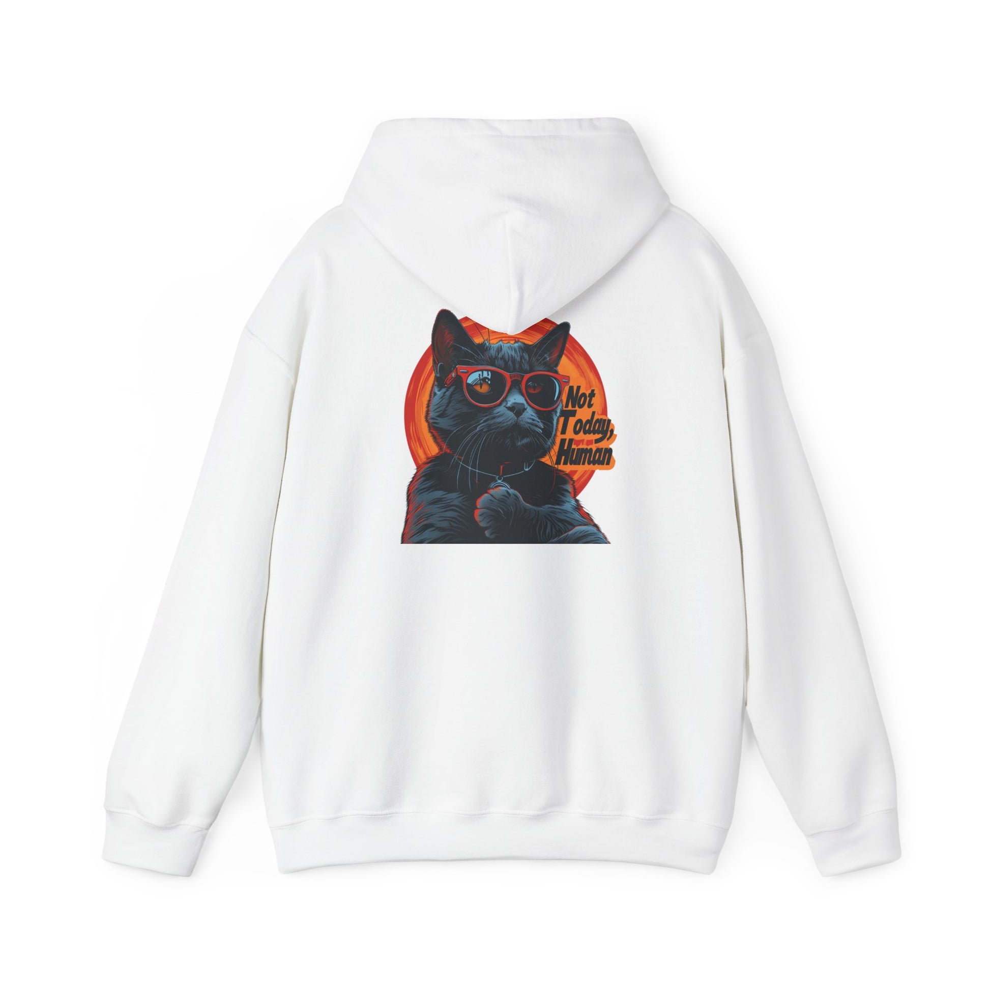 Not Today Human Unisex Hoodie - Funny Cat Design for Chill Days - Modern District