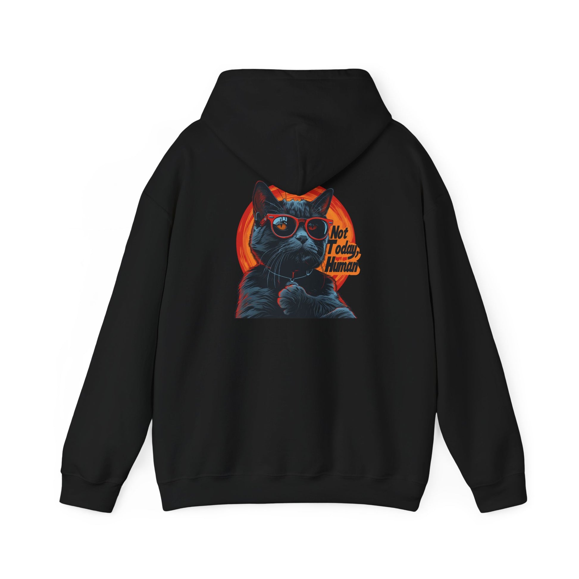Not Today Human Unisex Hoodie - Funny Cat Design for Chill Days - Modern District